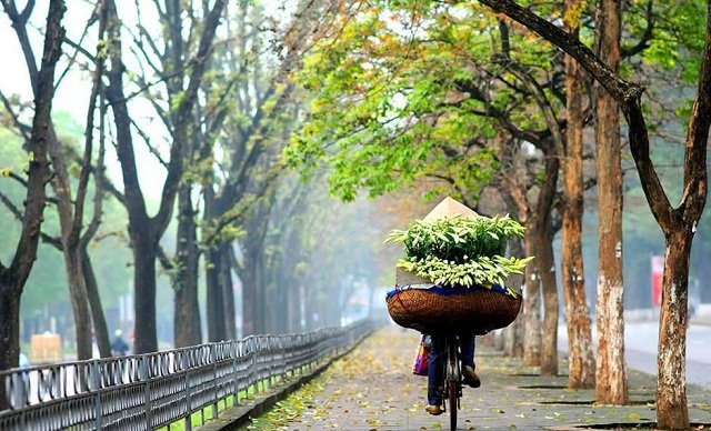 Hanoi streets and seasonal scenery